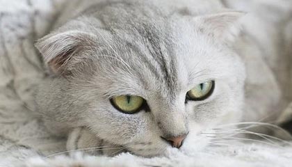 九游网站入口官网：开启游戏世界的多维入口